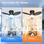 Smart Ceiling Fan with Light – 6-Speed Reversible Quiet Fan with Dimmable LED & Remote Control for Bedroom
